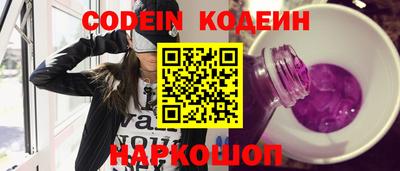 гашик Кингисепп
