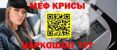 гашик Кингисепп