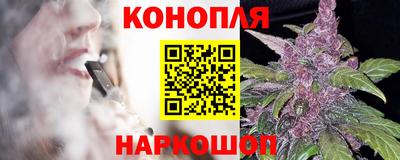 гашик Кингисепп