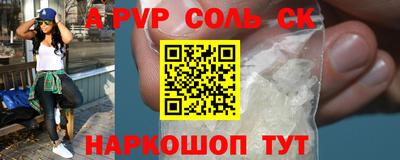 гашик Кингисепп