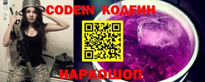 гашик Кингисепп