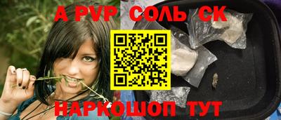 гашик Кингисепп