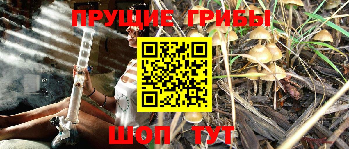 Валуйки  Галлюциногенные грибы мухоморы  Вход с VPN  Псилоцибиновые грибы Psilocybe 